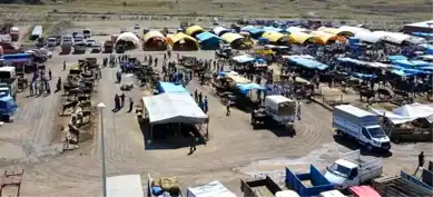 Çankırı'da Şap Hastalığı: Hayvan Pazarları Kapandı