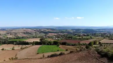 Çankırı'da Rekor Çeltik Verimi