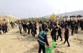 Fidanlar Toprağa Kavuştu: Ormanlaştırma Etkinliği