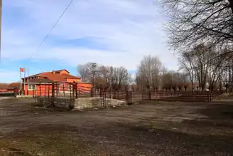 Çankırı Orta'da Hayvan Pazarı Şap Hastalığı Yüzünden Kapatıldı