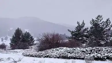 Çankırı'da Yağışlar Hayatın Akışını Etkiliyor