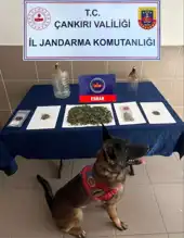 Çankırı'da Kapsamlı Güvenlik Operasyonu: Çok Sayıda Gözaltı