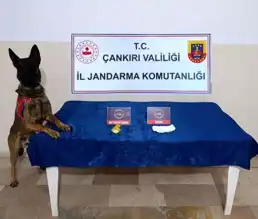 Çankırı'da Çoklu Operasyon: Uyuşturucu, Göçmen ve Trafik Denetimleri