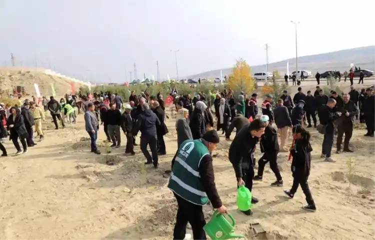 Fidanlar Toprağa Kavuştu: Ormanlaştırma Etkinliği