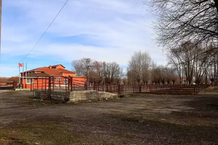 Çankırı Orta'da Hayvan Pazarı Şap Hastalığı Yüzünden Kapatıldı