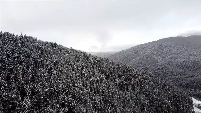 Ilgaz Dağı'nda Muhteşem Kar Manzarası!